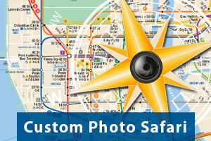 Custom Photo Safari